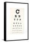 Eyesight Test Chart-Gregory Davies-Framed Stretched Canvas