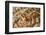 Eyestalks of Wunderpus Octopus-Hal Beral-Framed Photographic Print