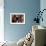Eyewitness-Lucia Heffernan-Framed Premium Giclee Print displayed on a wall