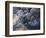 Eyjafjallajokull volcano erupting in Iceland-Paul Souders-Framed Photographic Print