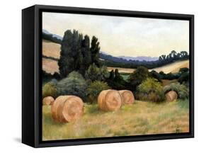 Eynsford Valley-Cristiana Angelini-Framed Stretched Canvas