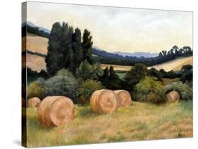 Eynsford Valley-Cristiana Angelini-Stretched Canvas