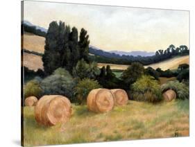 Eynsford Valley-Cristiana Angelini-Stretched Canvas