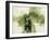 Eyot Fields-Paul Duncan-Framed Giclee Print