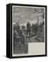 Eyre's Acquittal-Amedee Forestier-Framed Stretched Canvas