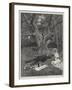 Eyre's Acquittal-Amedee Forestier-Framed Giclee Print