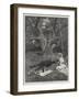 Eyre's Acquittal-Amedee Forestier-Framed Giclee Print