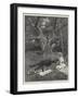 Eyre's Acquittal-Amedee Forestier-Framed Giclee Print