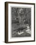 Eyre's Acquittal-Amedee Forestier-Framed Premium Giclee Print