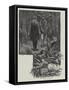 Eyre's Acquittal-Richard Caton Woodville II-Framed Stretched Canvas