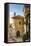 Eze, Alpes-Maritimes, Provence-Alpes-Cote D'Azur, French Riviera, France-Jon Arnold-Framed Stretched Canvas