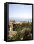 Eze, Alpes Maritimes, Provence, Cote d'Azur, French Riviera, France, Mediterranean-Angelo Cavalli-Framed Stretched Canvas