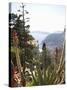 Eze, Alpes Maritimes, Provence, Cote d'Azur, French Riviera, France-Angelo Cavalli-Stretched Canvas