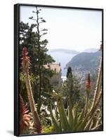 Eze, Alpes Maritimes, Provence, Cote d'Azur, French Riviera, France-Angelo Cavalli-Framed Photographic Print
