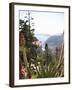 Eze, Alpes Maritimes, Provence, Cote d'Azur, French Riviera, France-Angelo Cavalli-Framed Photographic Print