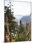 Eze, Alpes Maritimes, Provence, Cote d'Azur, French Riviera, France-Angelo Cavalli-Mounted Photographic Print