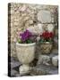 Eze Village, Alpes Maritimes, Provence, Cote d'Azur, France-Sergio Pitamitz-Stretched Canvas