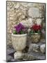 Eze Village, Alpes Maritimes, Provence, Cote d'Azur, France-Sergio Pitamitz-Mounted Premium Photographic Print