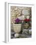 Eze Village, Alpes Maritimes, Provence, Cote d'Azur, France-Sergio Pitamitz-Framed Photographic Print