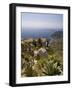 Eze Village, Alpes Maritimes, Provence, Cote d'Azur, French Riviera, France, Mediterranean, Europe-Sergio Pitamitz-Framed Photographic Print