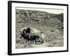 Ezra Meeker with Wagon-Asahel Curtis-Framed Giclee Print