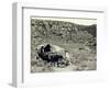 Ezra Meeker with Wagon-Asahel Curtis-Framed Giclee Print