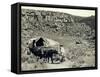 Ezra Meeker with Wagon-Asahel Curtis-Framed Stretched Canvas