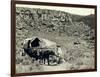 Ezra Meeker with Wagon-Asahel Curtis-Framed Giclee Print