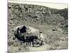 Ezra Meeker with Wagon-Asahel Curtis-Mounted Giclee Print