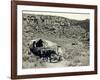 Ezra Meeker with Wagon-Asahel Curtis-Framed Giclee Print