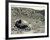 Ezra Meeker with Wagon-Asahel Curtis-Framed Giclee Print