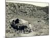 Ezra Meeker with Wagon-Asahel Curtis-Mounted Giclee Print