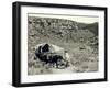 Ezra Meeker with Wagon-Asahel Curtis-Framed Giclee Print