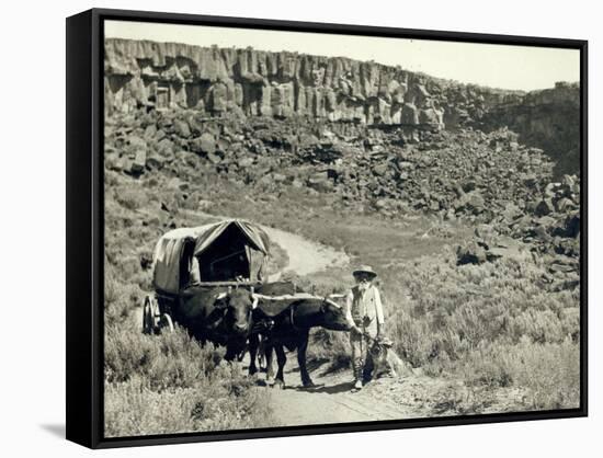 Ezra Meeker with Wagon-Asahel Curtis-Framed Stretched Canvas