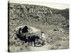 Ezra Meeker with Wagon-Asahel Curtis-Stretched Canvas