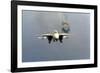 F-14 Tomcat Fighter after Takes Off from USS America, 1984-null-Framed Photo