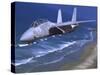 F-14 Tomcat Flying over San Diego, California-Stocktrek Images-Stretched Canvas