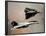 F-14 Tomcats (In Air) Art Poster Print-null-Framed Poster