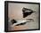F-14 Tomcats (In Air) Art Poster Print-null-Framed Poster