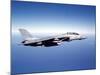 F-14A Tomcat in Flight Above the Pacific Ocean-Stocktrek Images-Mounted Photographic Print