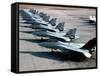 F-14A Tomcats On the Flight Line at NAS Miramar, San Diego, California-Stocktrek Images-Framed Stretched Canvas