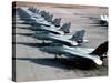 F-14A Tomcats On the Flight Line at NAS Miramar, San Diego, California-Stocktrek Images-Stretched Canvas