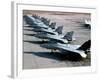 F-14A Tomcats On the Flight Line at NAS Miramar, San Diego, California-Stocktrek Images-Framed Photographic Print