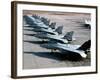 F-14A Tomcats On the Flight Line at NAS Miramar, San Diego, California-Stocktrek Images-Framed Photographic Print
