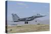 F-15 Eagle of the Royal Saudi Air Force Landing at Konya Air Base, Turkey-Stocktrek Images-Stretched Canvas