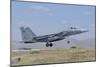 F-15 Eagle of the Royal Saudi Air Force Landing at Konya Air Base, Turkey-Stocktrek Images-Mounted Photographic Print