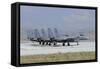 F-15 Eagle's of the Royal Saudi Air Force-Stocktrek Images-Framed Stretched Canvas