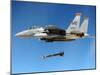 F-15 Strike Eagle Fighter Drops a Guided Bomb in Exercises, Ca. 1980s-null-Mounted Photo