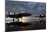 F-15 Strike Eagle Fighters at Mountain Home Air Force Base Idaho at Sunset, 2010-null-Mounted Photo