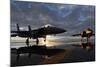 F-15 Strike Eagle Fighters at Mountain Home Air Force Base Idaho at Sunset, 2010-null-Mounted Photo